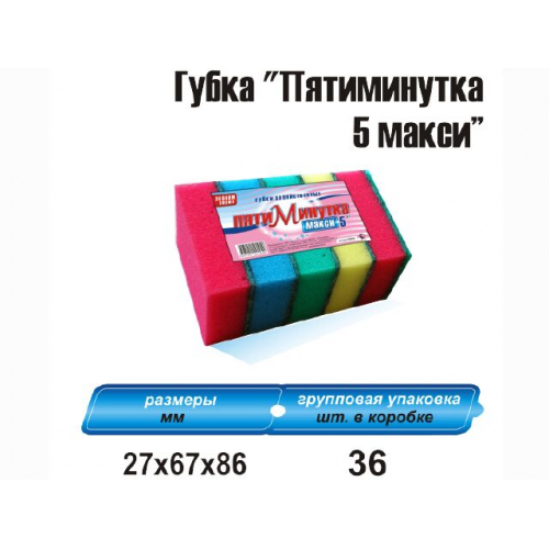 Губка"Пятиминутка-5 макси"/36/